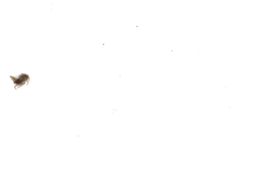 Image 73